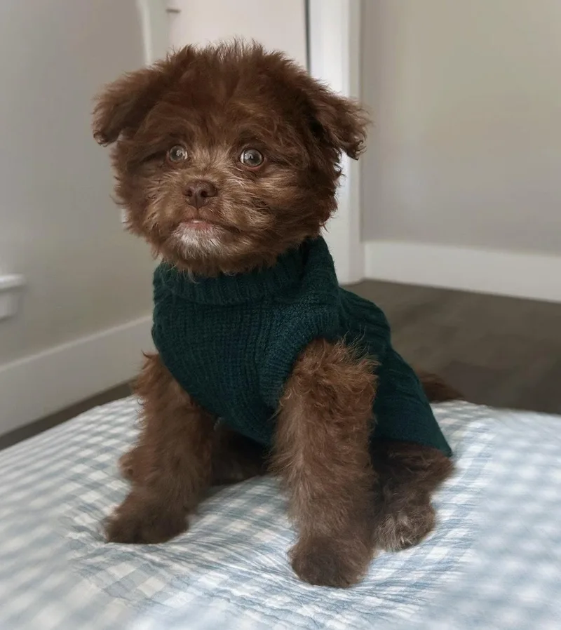 Money: Euro thumbnail 2