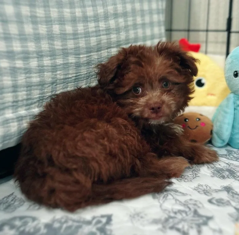 Money: Euro thumbnail 3