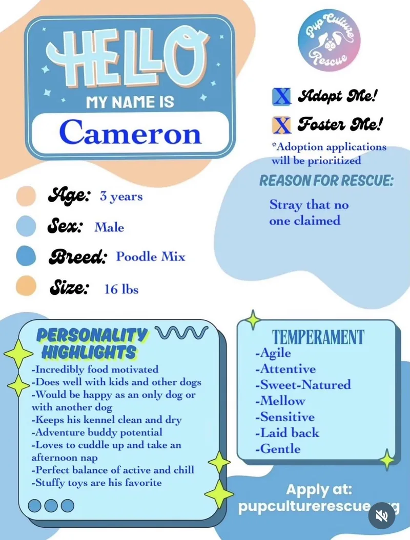 Cameron thumbnail 5