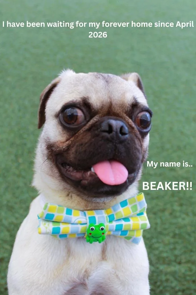 Beaker thumbnail 5
