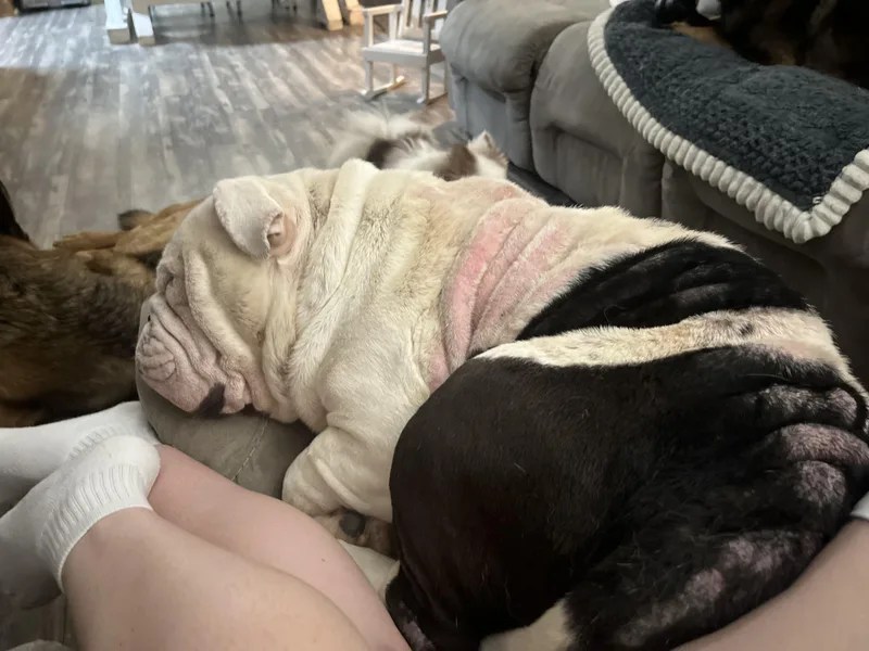 Frederick Von Wrinkles thumbnail 2