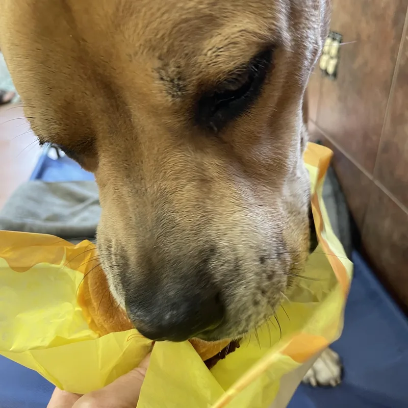 Hercules thumbnail 2