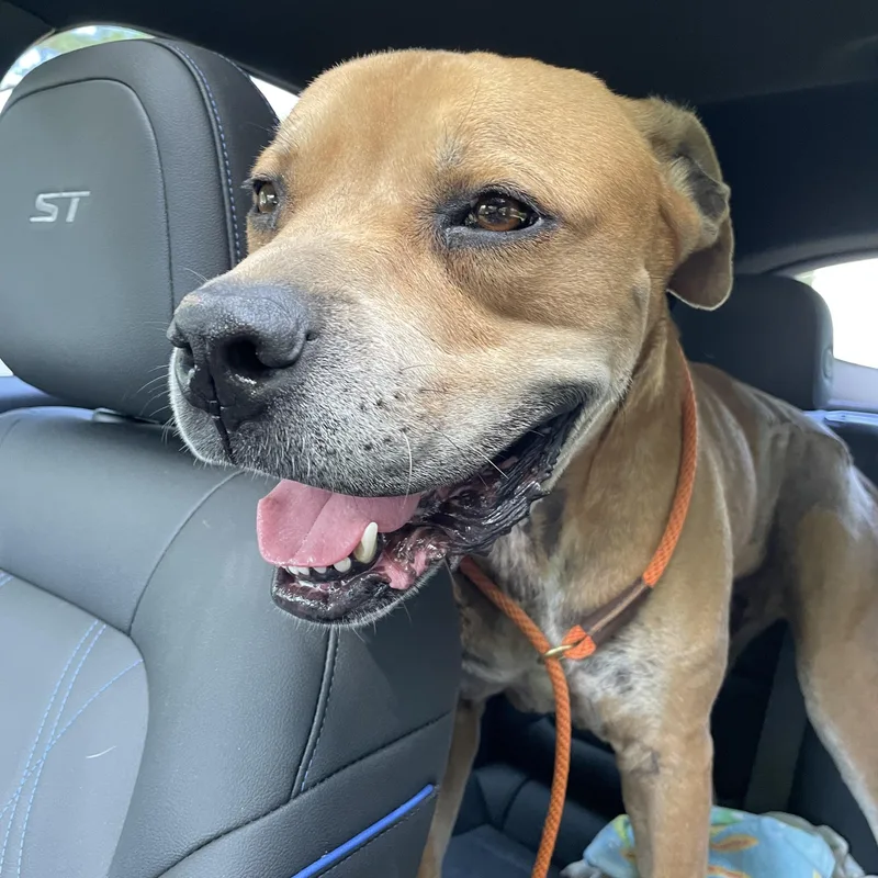 Hercules thumbnail 5