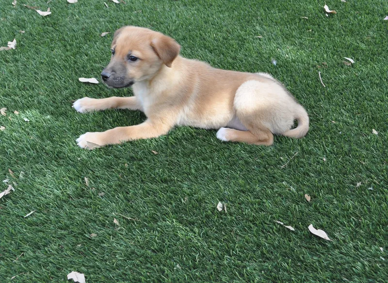 Clementine thumbnail 2