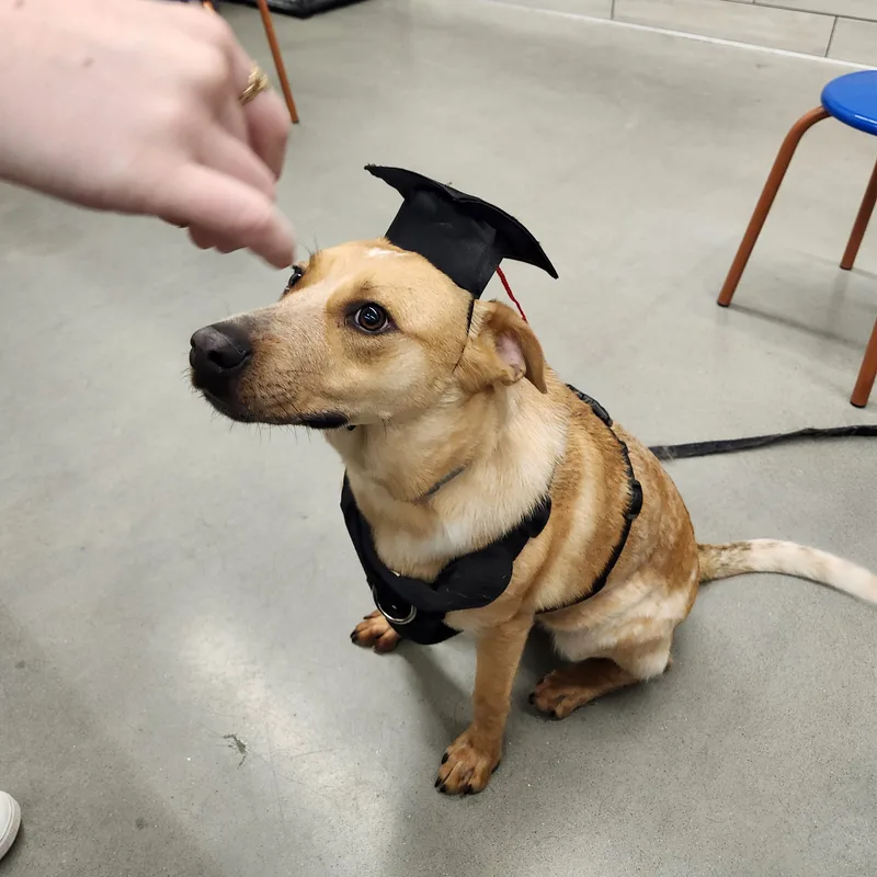 Rani  Local April thumbnail 3