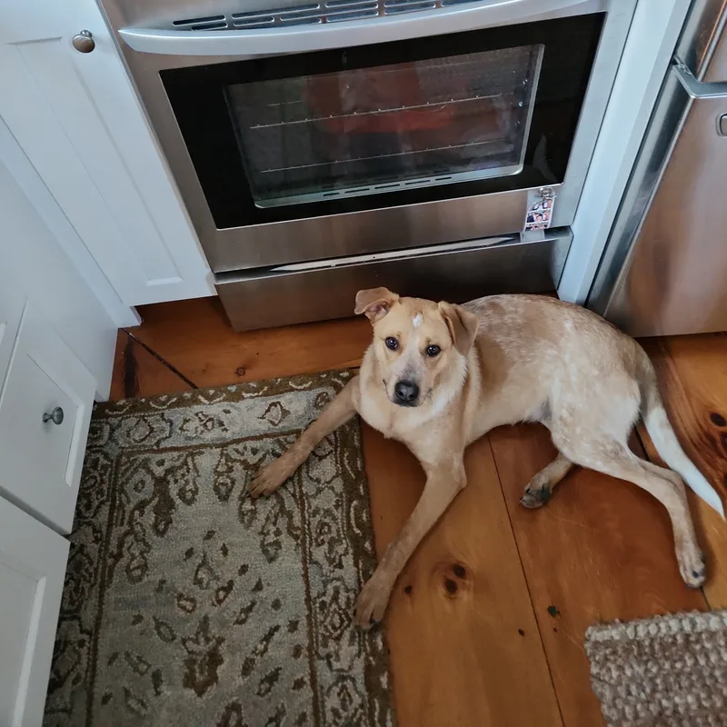 Rani  Local April thumbnail 5