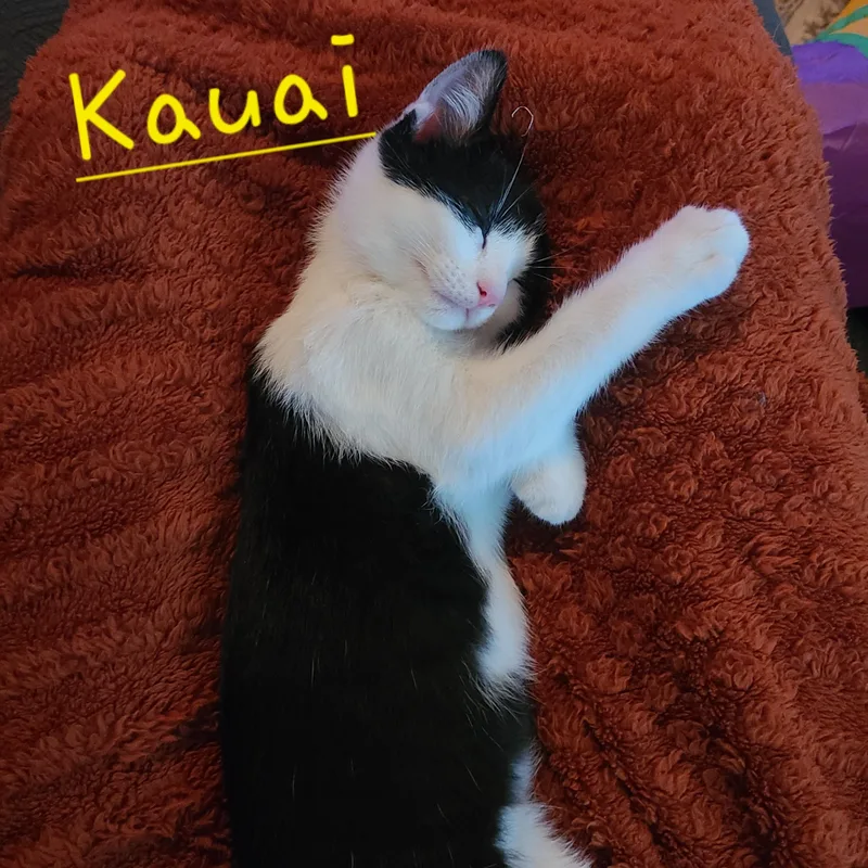 Kauai thumbnail 2
