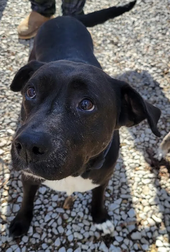 Sister Sadie thumbnail 2