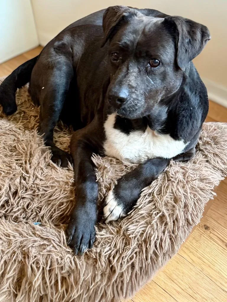 Sister Sadie thumbnail 4