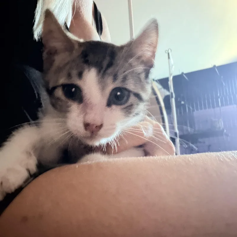 Mr. zipper thumbnail 2