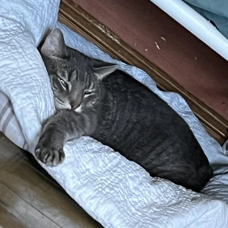 Lucky Star thumbnail 6