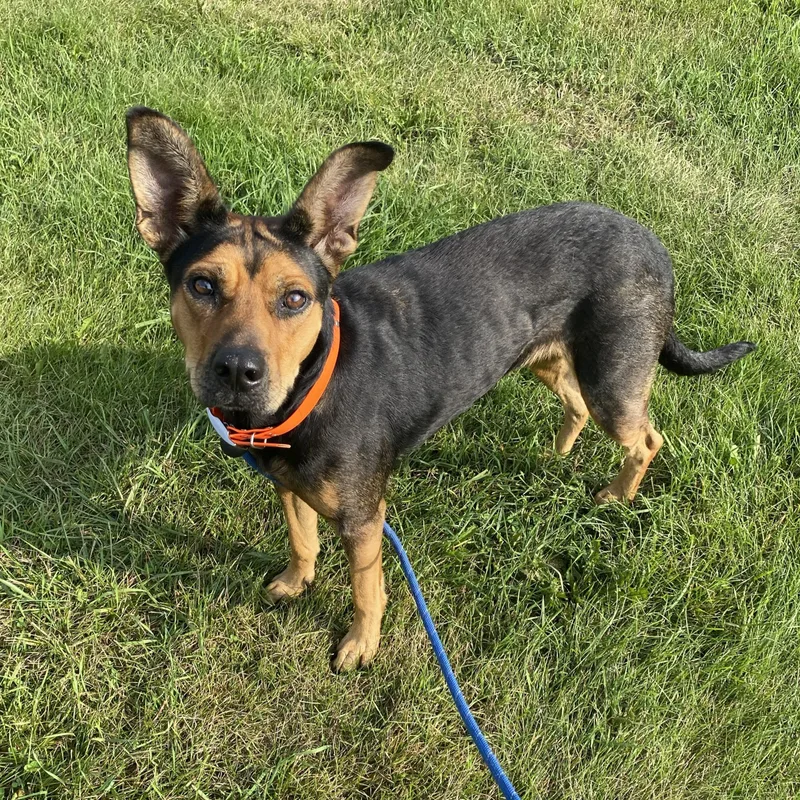 Georgia