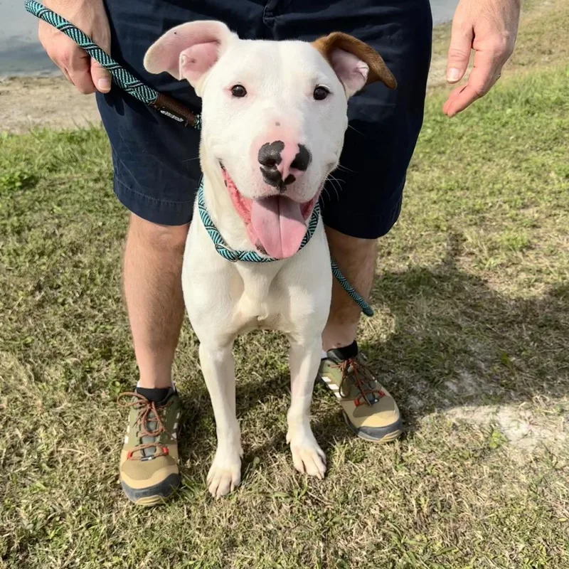 Commissioner thumbnail 4