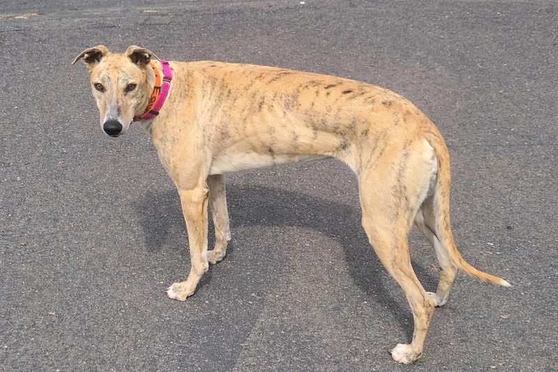 We Are All Equals thumbnail 2