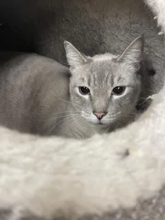 Luna thumbnail 6