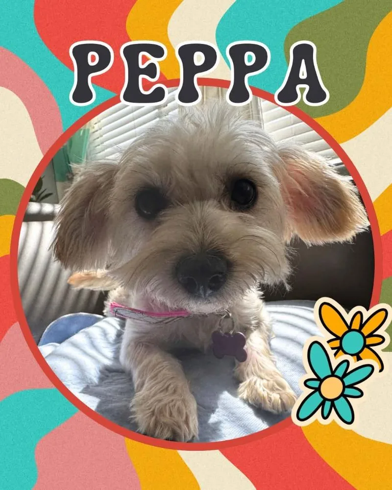 Peppa
