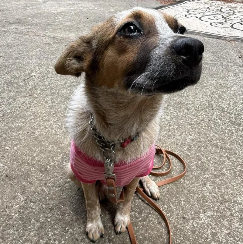 Frida