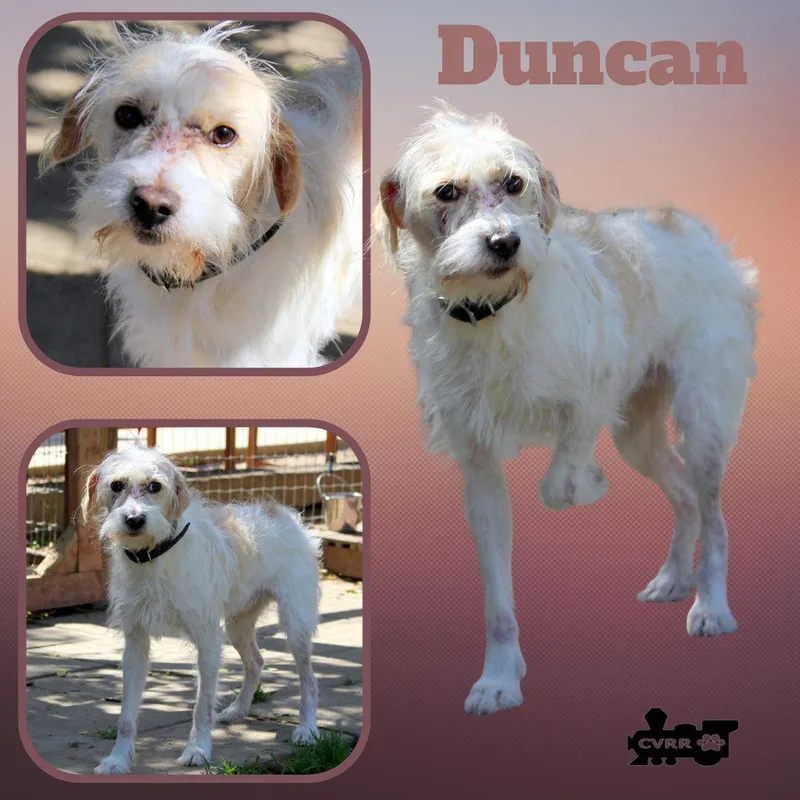 Duncan