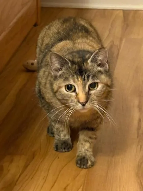 Little Girl  Charming