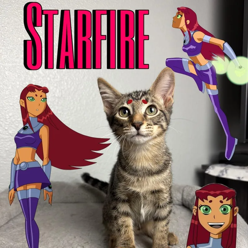 Starfire thumbnail 3