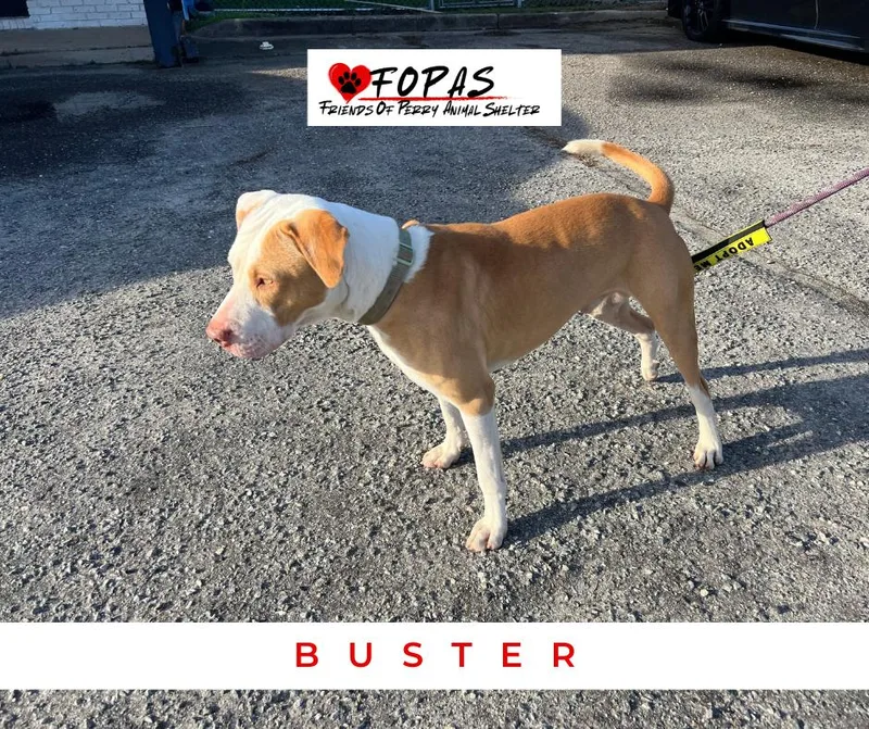 Buster
