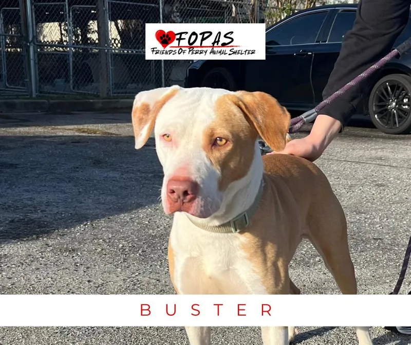 Buster thumbnail 2