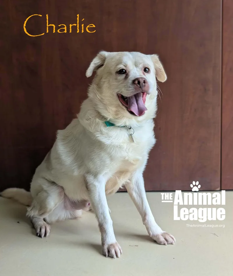 Charlie