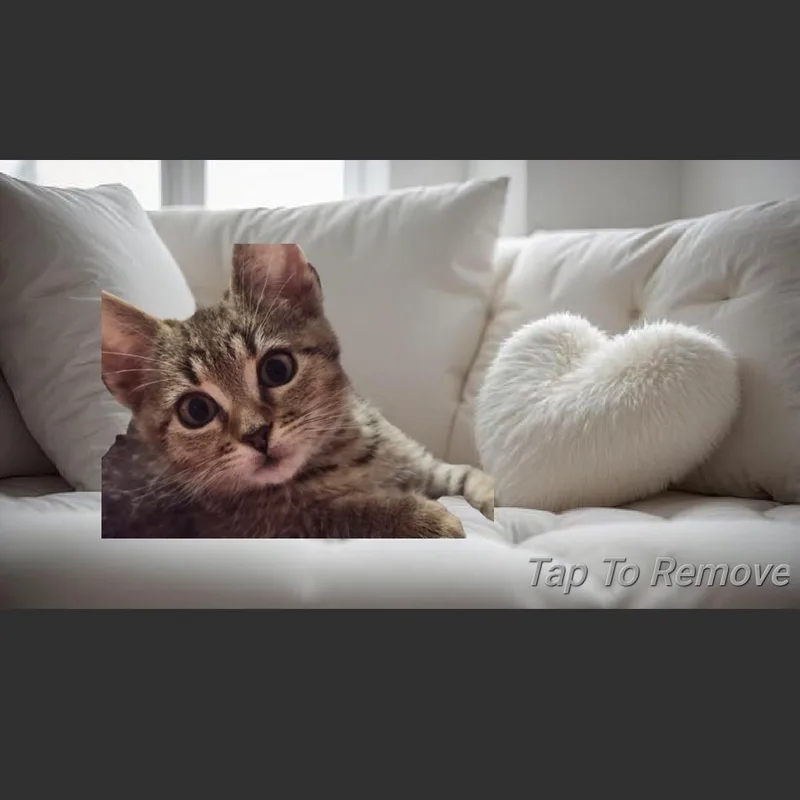 Tuck. Aka Tuck n thumbnail 2