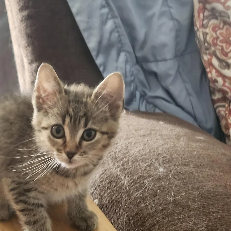 Tuck. Aka Tuck n thumbnail 4