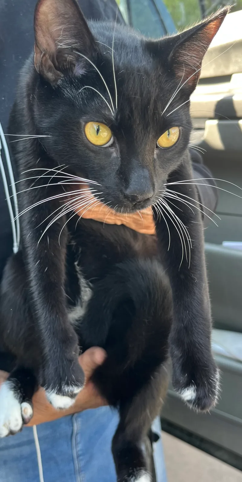 Brothers thumbnail 2