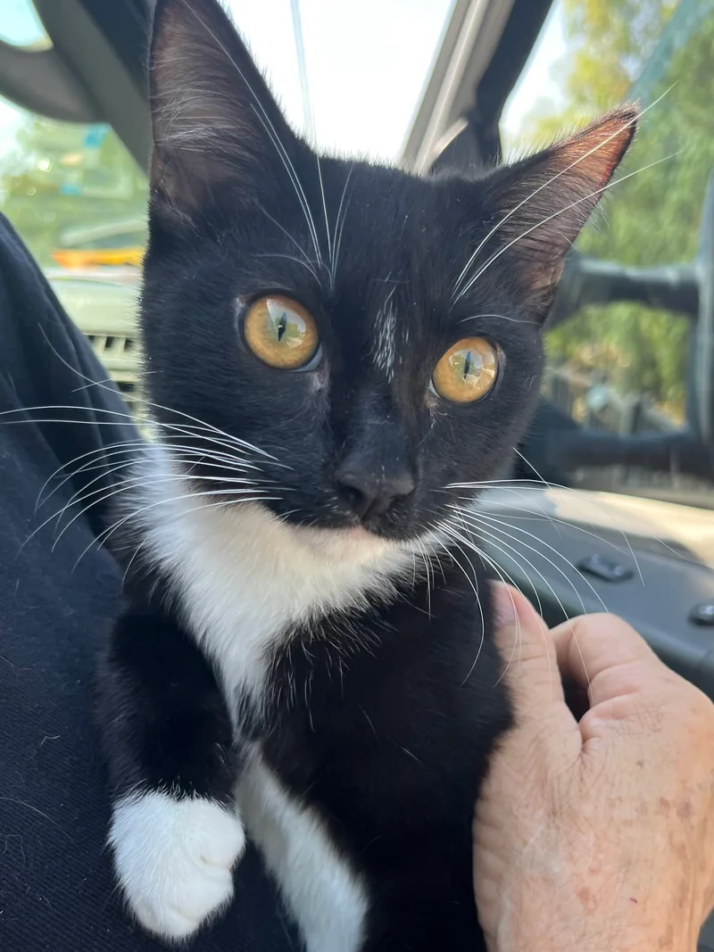 Brothers thumbnail 3