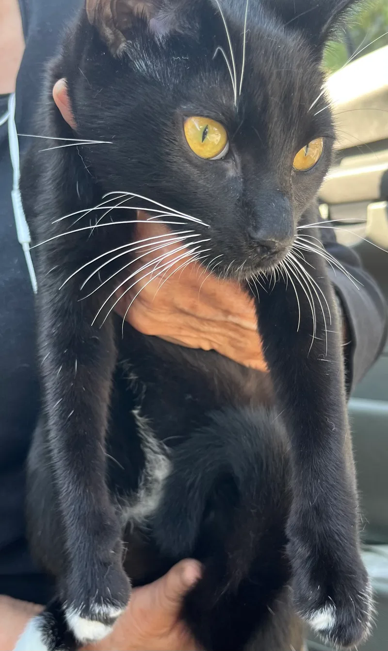 Brothers thumbnail 4