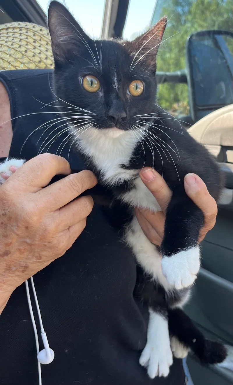 Brothers thumbnail 5