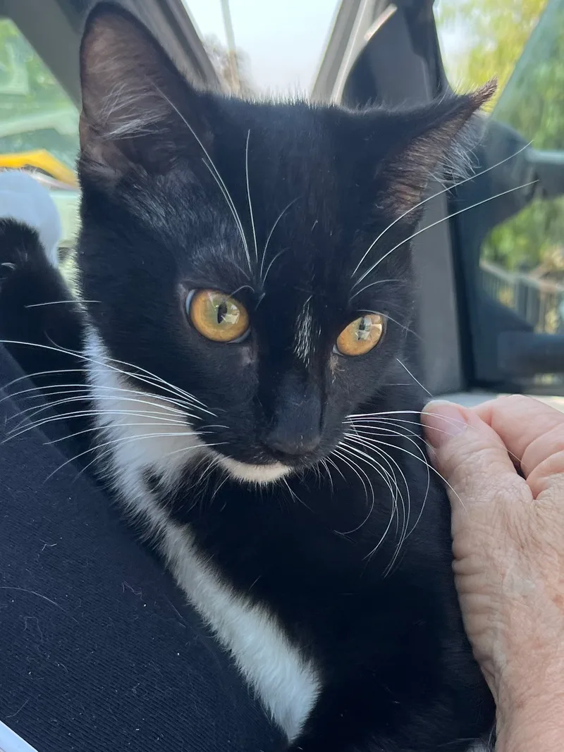 Brothers thumbnail 6