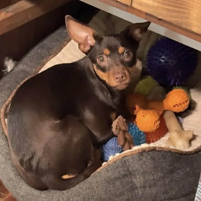 Lil' Ruby Ab thumbnail 4