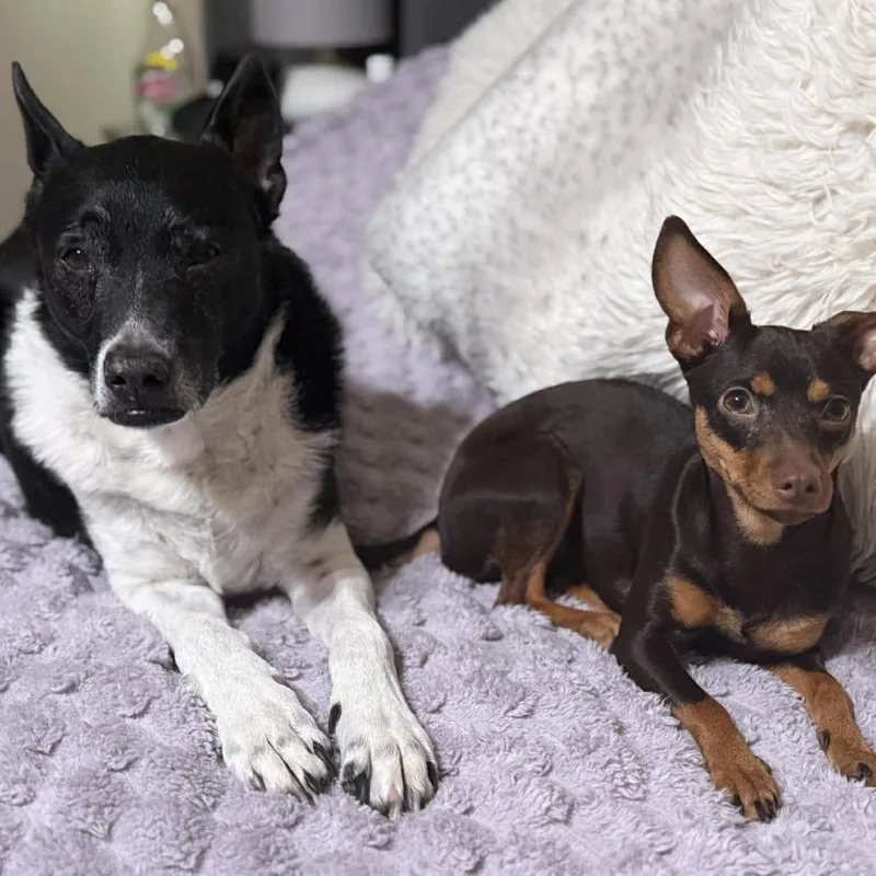 Lil' Ruby Ab thumbnail 5