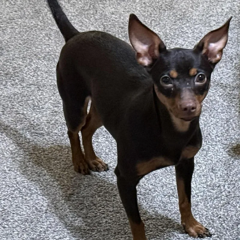 Lil' Ruby Ab thumbnail 6