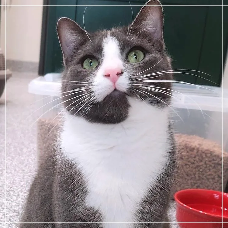 Peter Griffin thumbnail 2