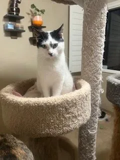 Benny thumbnail 6