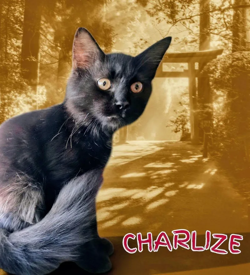 Charlize