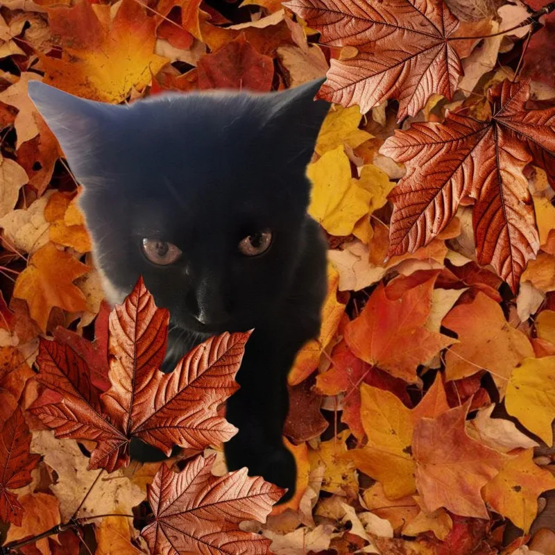 Charlize thumbnail 3