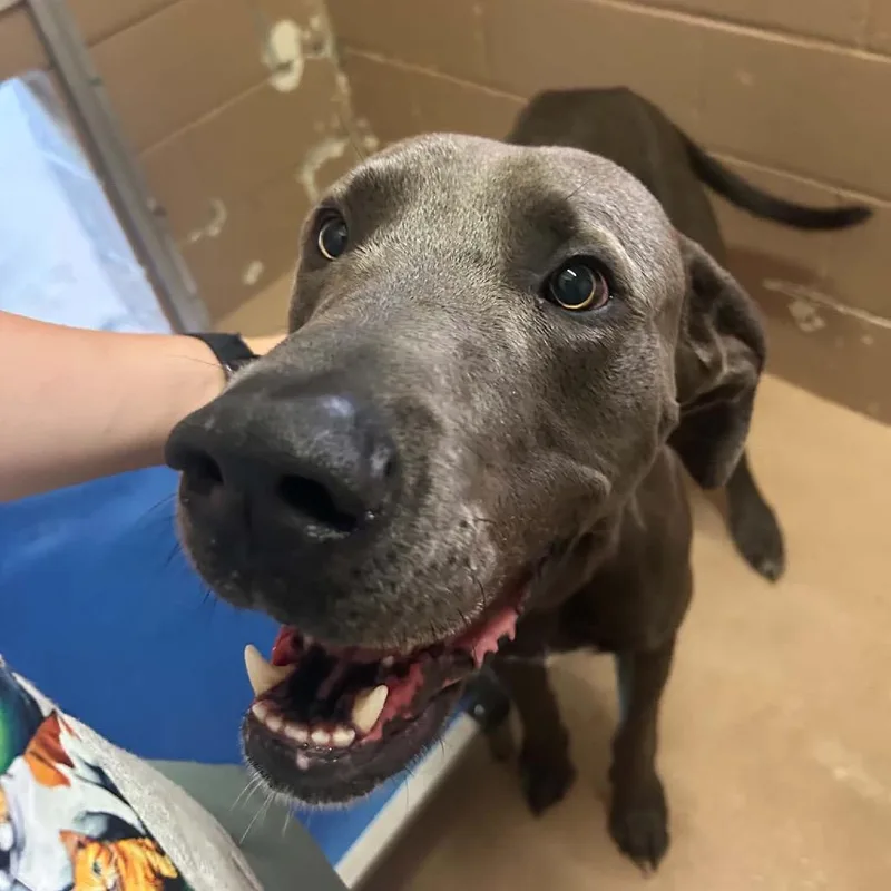 Berlin thumbnail 2