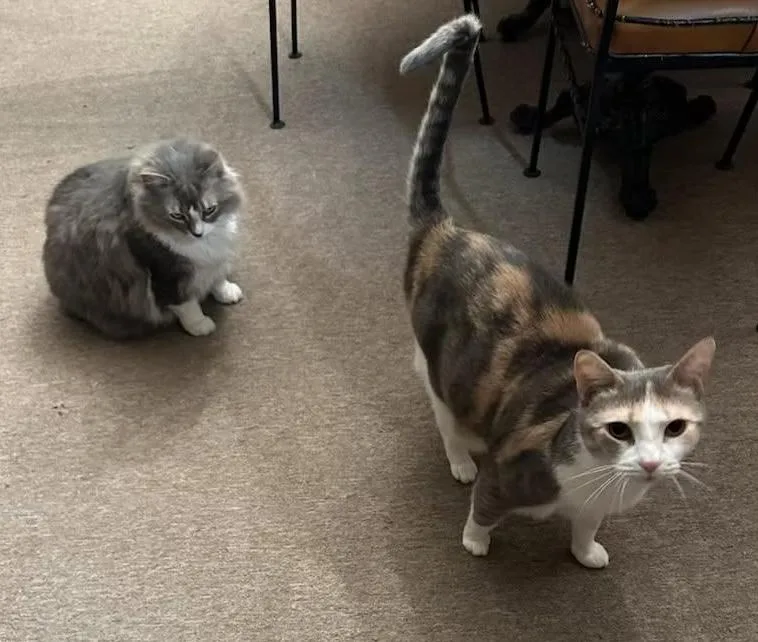 Minny And Izzy thumbnail 2