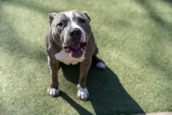 Ellie May thumbnail 2