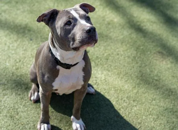 Ellie May thumbnail 3