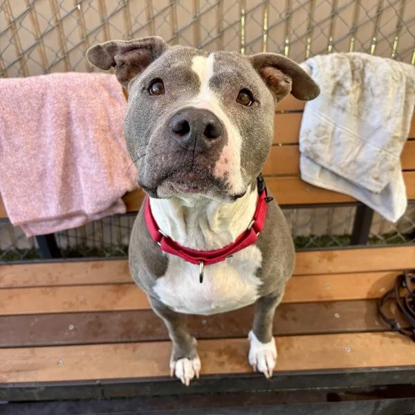 Ellie May thumbnail 4