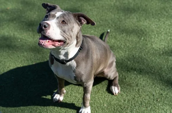 Ellie May thumbnail 5