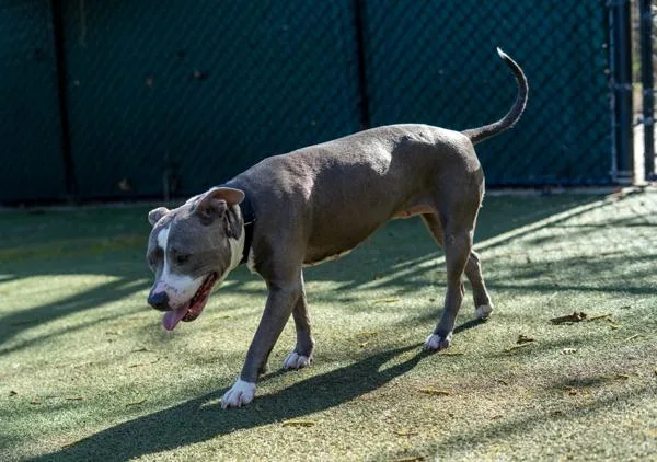 Ellie May thumbnail 6