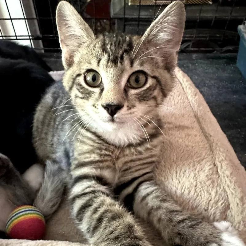 Sam
