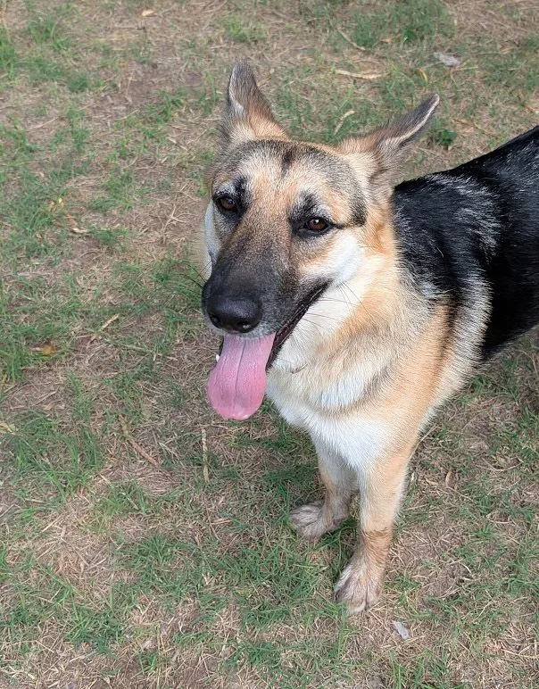 Sweet Sammie thumbnail 2